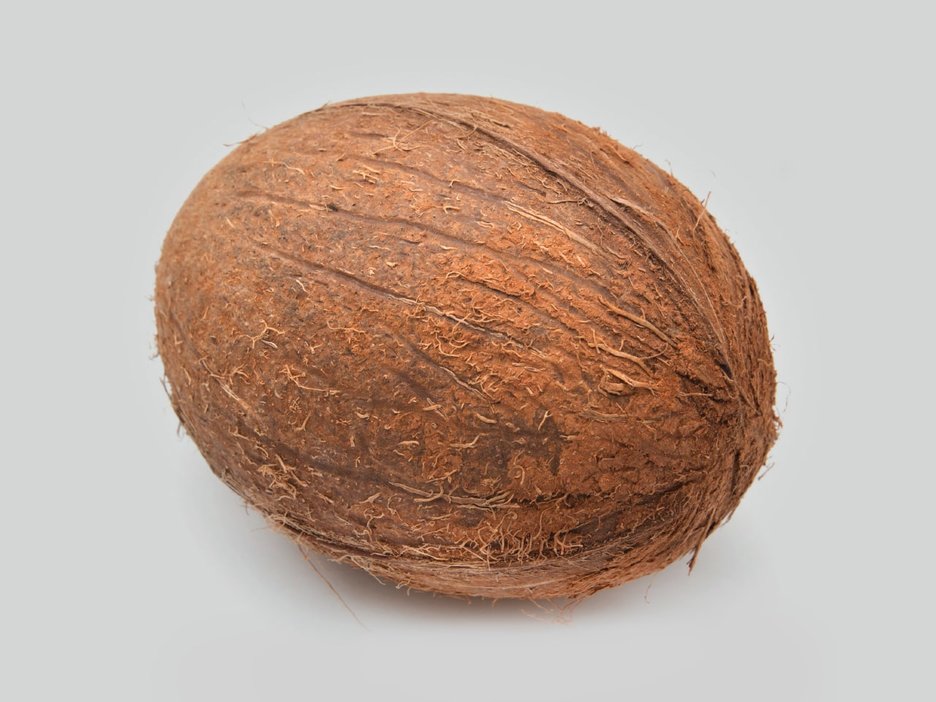 Zu sehen ist eine Kokosnuss als Symbolfoto. Sie soll verdeutlichen, dass fallende Kokosnüsse für Menschen, die sich im Schatten unter Palmen aufhalten, lebensgefährlich sein können. Etwa 150 Menschen werden pro Jahr von Kokosnüssen erschlagen. Link zur vergrößerten Darstellung des Bildes.
